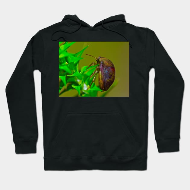 The Bug! Hoodie by Mickangelhere1